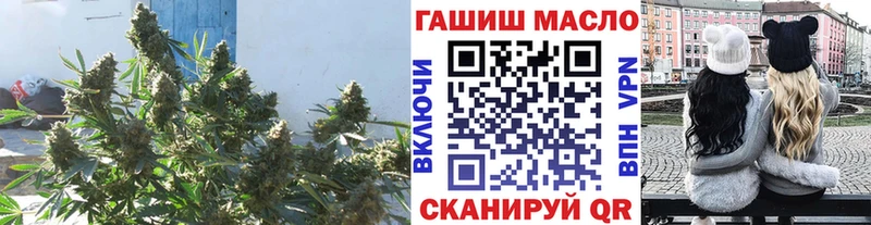 ТГК концентрат  цена   mega онион  Лаишево 